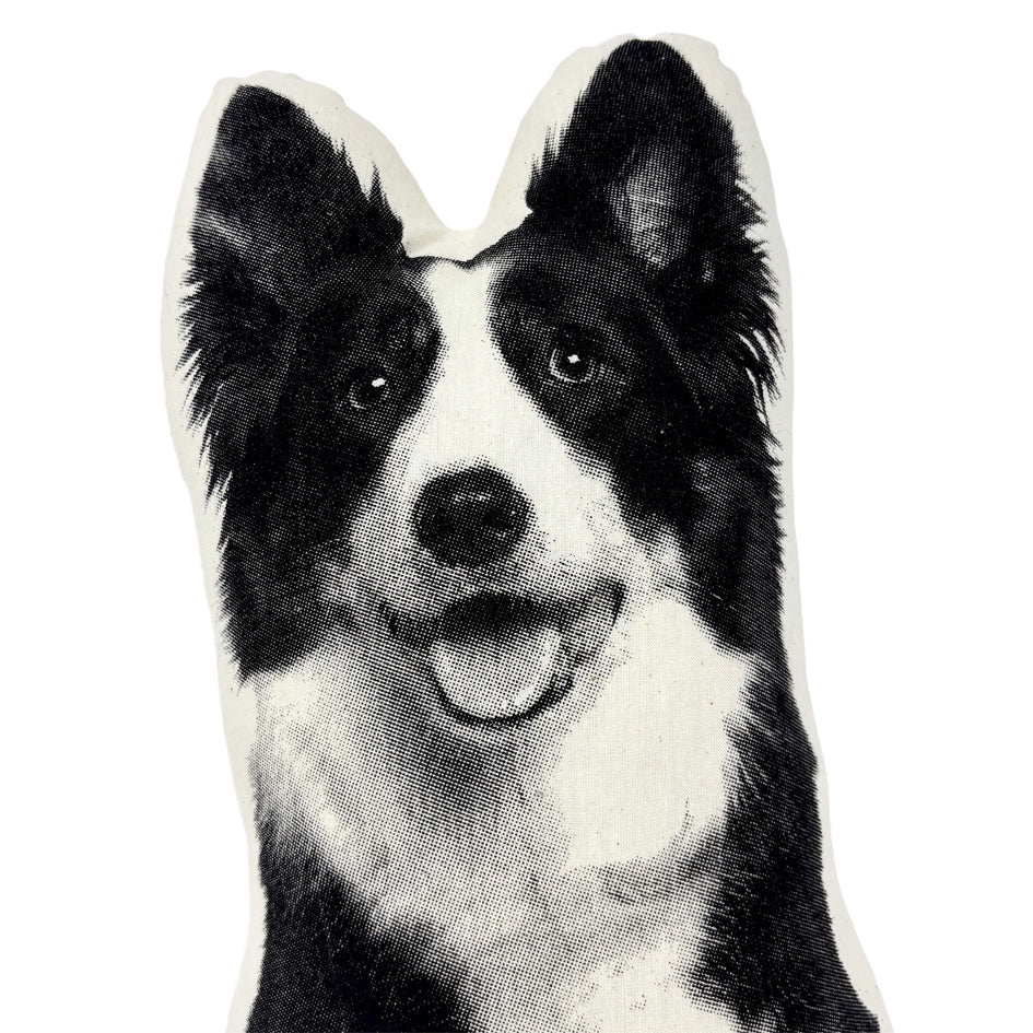 Border Collie Hond Sierkussen - Broderpress - SuperMatique