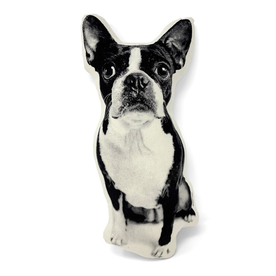 Boston Terrier Hond Sierkussen - Broderpress - SuperMatique