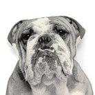 Bulldog Hond Sierkussen - Broderpress - SuperMatique