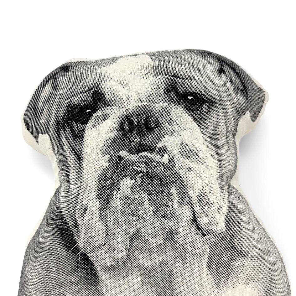 Bulldog Hond Sierkussen - Broderpress - SuperMatique