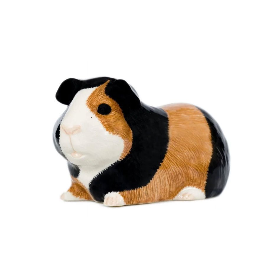 Cavia Spaarpot Bruin - Wit - Zwart - Quail Ceramics - SuperMatique