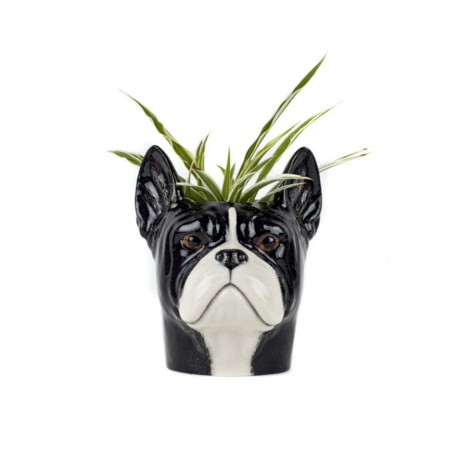 Franse Bulldog Pennen Pot Quail Ceramics - SuperMatique