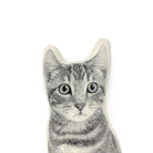 Gestreepte Cyperse Kat Sierkussen - Broderpress - SuperMatique