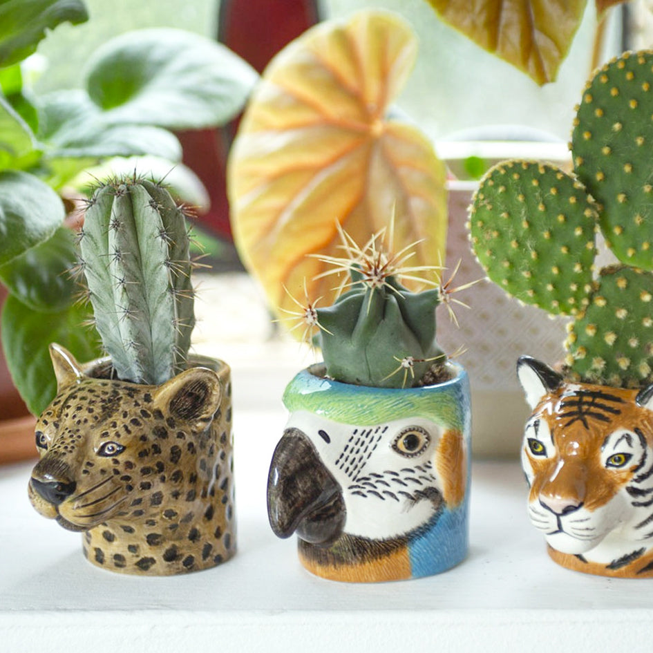 Afbeelding van handbeschilderd keramiek mini pot in vorm van een luipaard kopje Quail Ceramics - SuperMatique