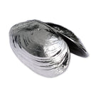 Mosselschep - ANOVI - SuperMatique