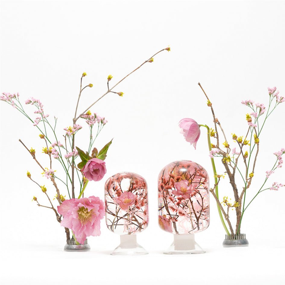 'Pieces Of Time' Herbarium / Presse - Papier 'Cherry Blossom' - Style Jieum - SuperMatique