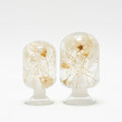 'Pieces Of Time' Herbarium / Presse - Papier 'Pure Daisy' - Style Jieum - SuperMatique