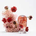 'Pieces Of Time' Herbarium / Presse - Papier 'Red Zinnia' - Style Jieum - SuperMatique