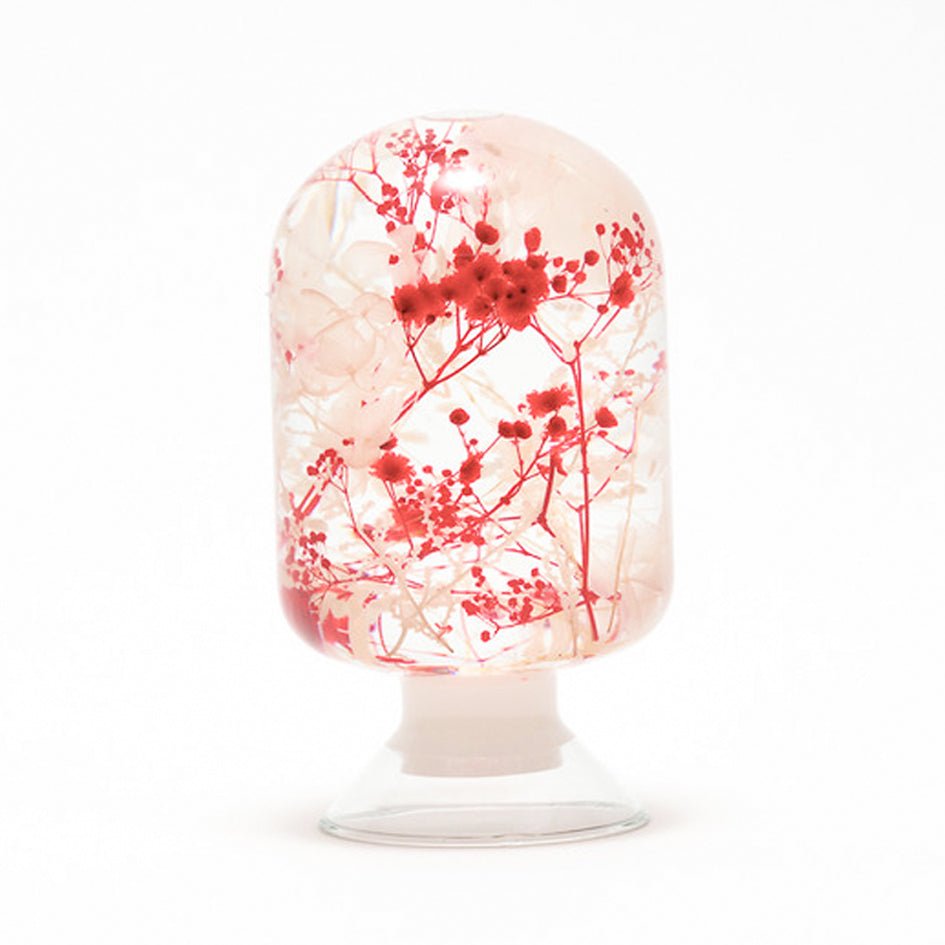 'Pieces Of Time' Herbarium / Presse - Papier 'Wild Bloom' - Style Jieum - SuperMatique