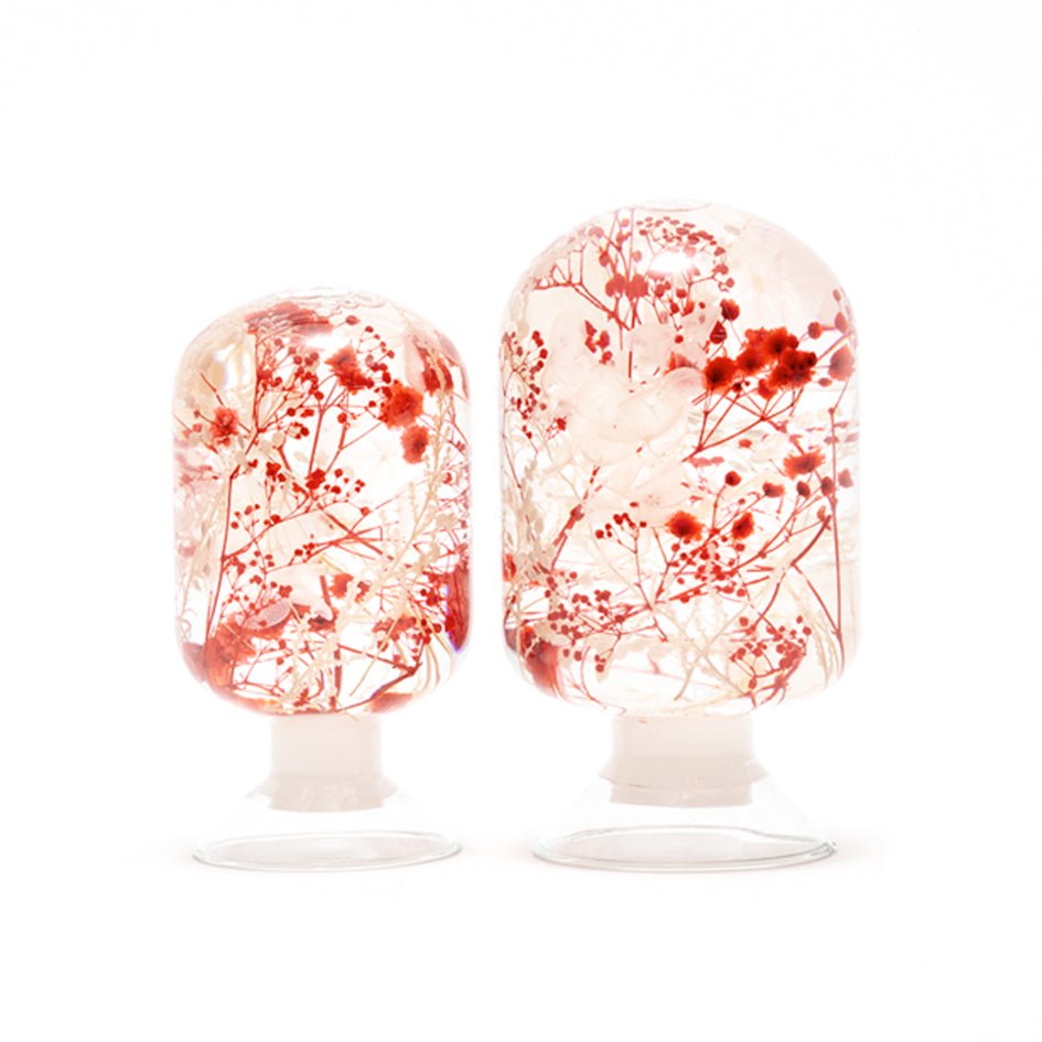 'Pieces Of Time' Herbarium / Presse - Papier 'Wild Bloom' - Style Jieum - SuperMatique