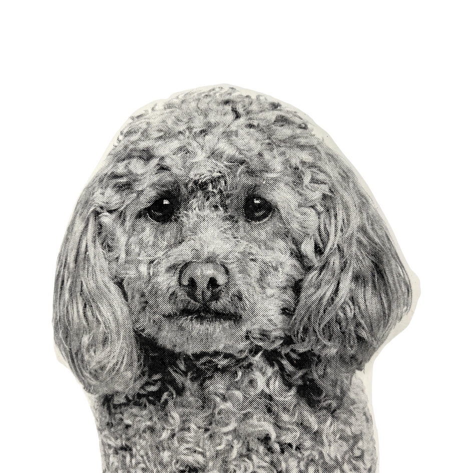 Poedel Hond Sierkussen - Broderpress - SuperMatique