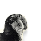 Teckel Sierkussen - Broderpress - SuperMatique