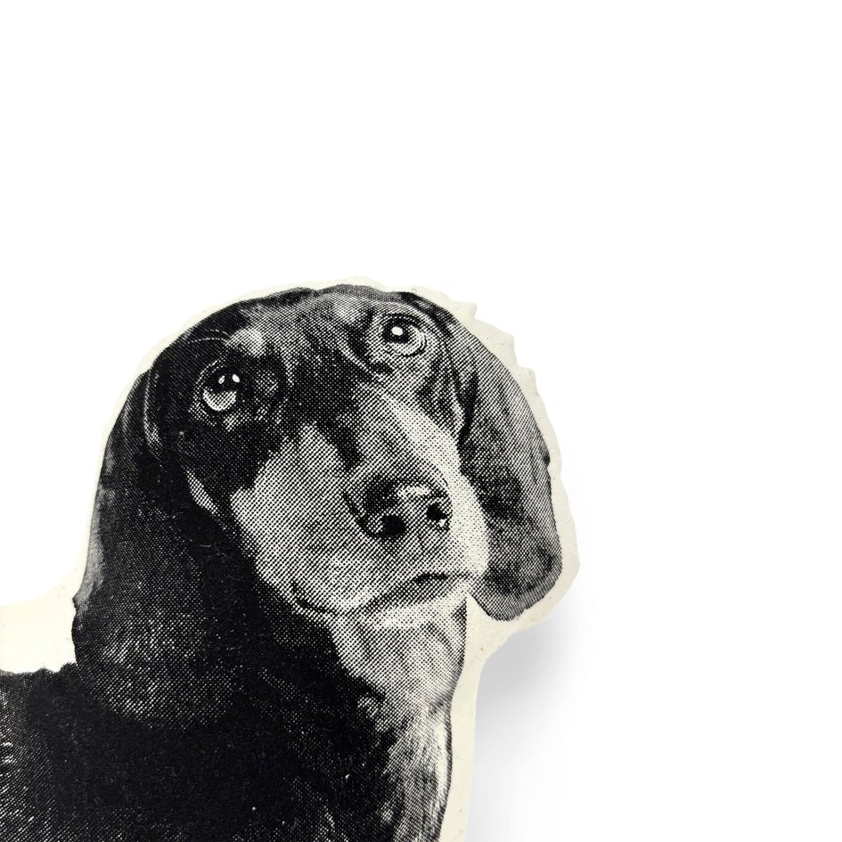 Teckel Sierkussen - Broderpress - SuperMatique