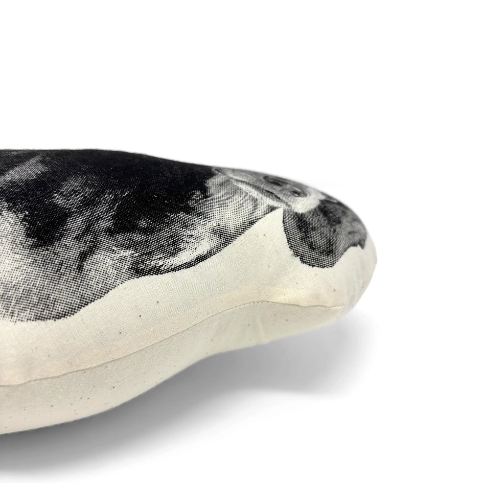 Teckel Sierkussen - Broderpress - SuperMatique