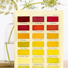 Wenskaart 'Colour Chart No:2' - Madame Treacle - SuperMatique