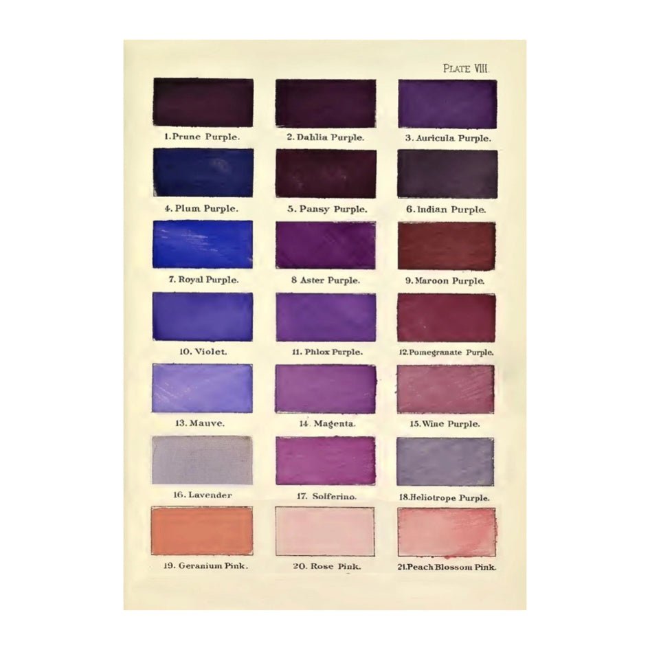 Wenskaart 'Colour Chart No:3' - Madame Treacle - SuperMatique