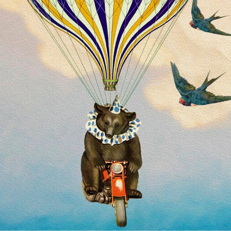 Wenskaart 'Green Hot Air Balloon' - Madame Treacle - SuperMatique