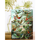 Wenskaart 'Hummingbirds' - Madame Treacle - SuperMatique
