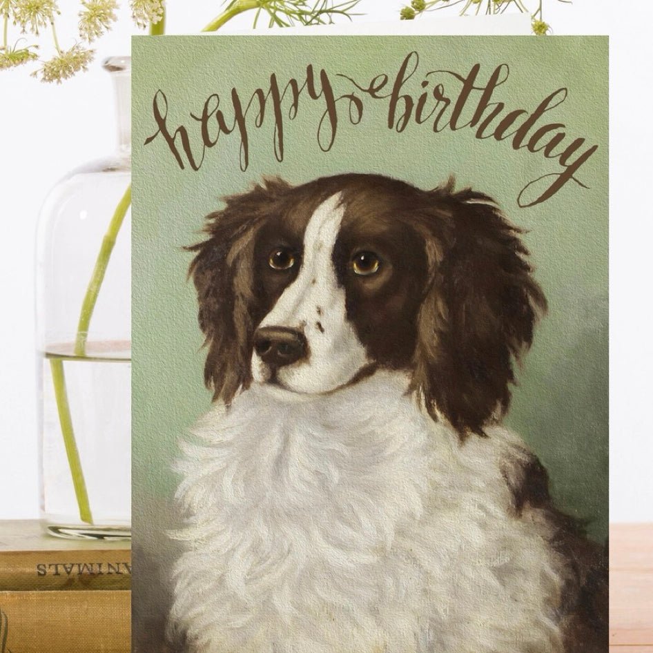 Wenskaart Lord Fluff 'Happy Birthday' - Madame Treacle - SuperMatique