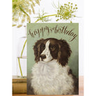 Wenskaart Lord Fluff 'Happy Birthday' - Madame Treacle - SuperMatique