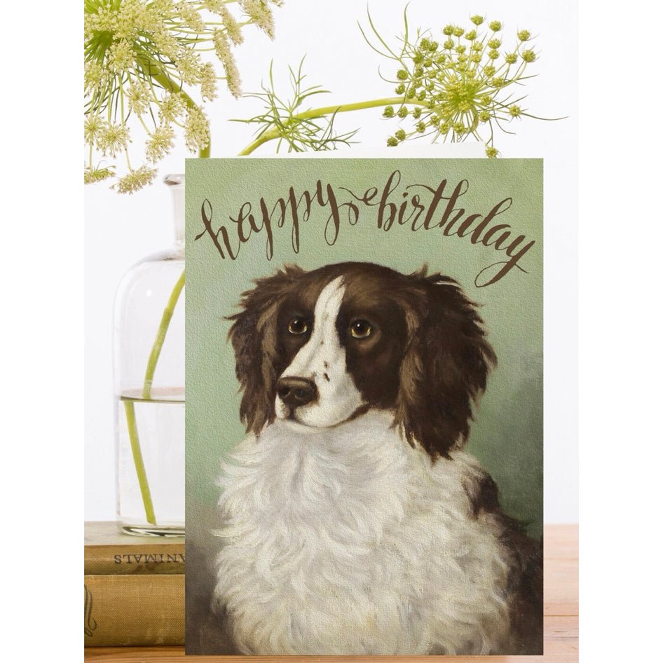 Wenskaart Lord Fluff 'Happy Birthday' - Madame Treacle - SuperMatique