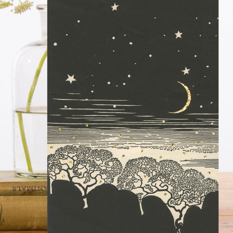 Wenskaart 'Moon Rise' - Madame Treacle - SuperMatique