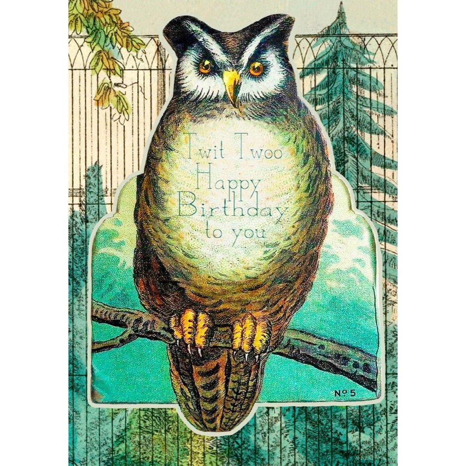 Wenskaart 'Mr Owl' Happy Birthday - Madame Treacle - SuperMatique
