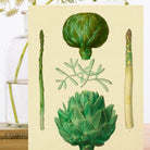 Wenskaart 'Vegetable Garden no:2' - Madame Treacle - SuperMatique