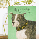 Wenskaart Woof Woof Happy Birthday - Madame Treacle - SuperMatique
