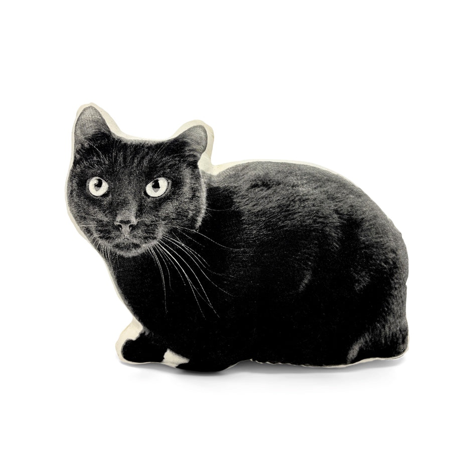 Zwarte Kat Sierkussen - Broderpress - SuperMatique