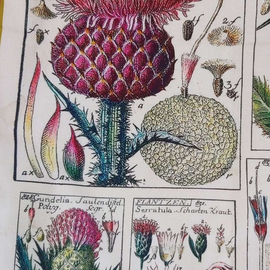 Antieke Distel Print Theedoek - SuperMatique
