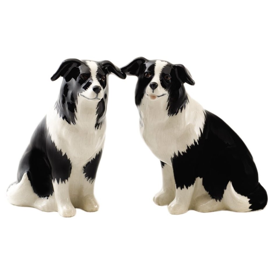 Border Collie Salt and Pepper - SuperMatique