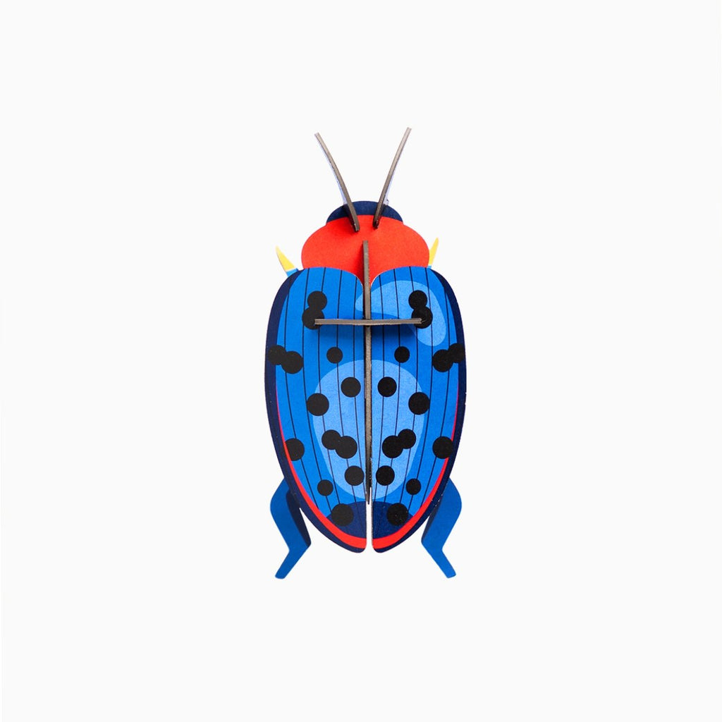 Fungus beetle - SuperMatique