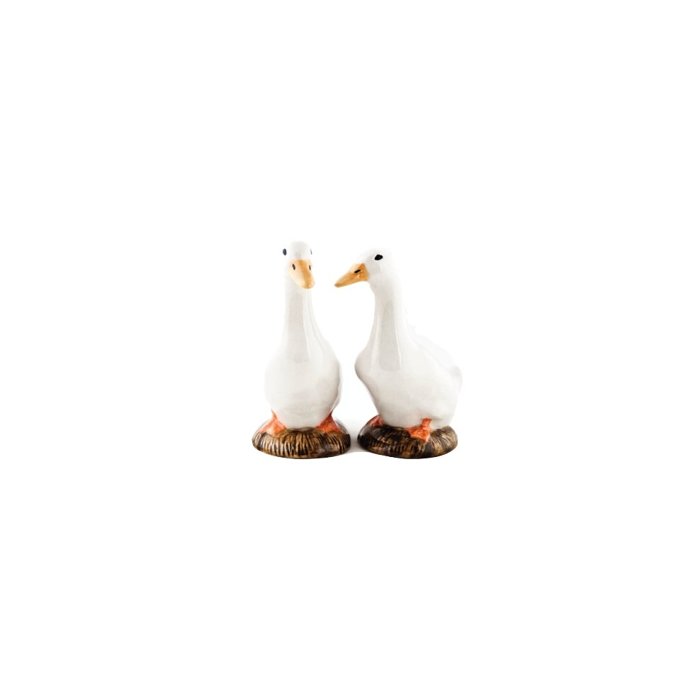Gans Peper en Zout - SuperMatique