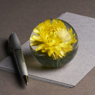 Gele Helichrysum Presse-papier - SuperMatique