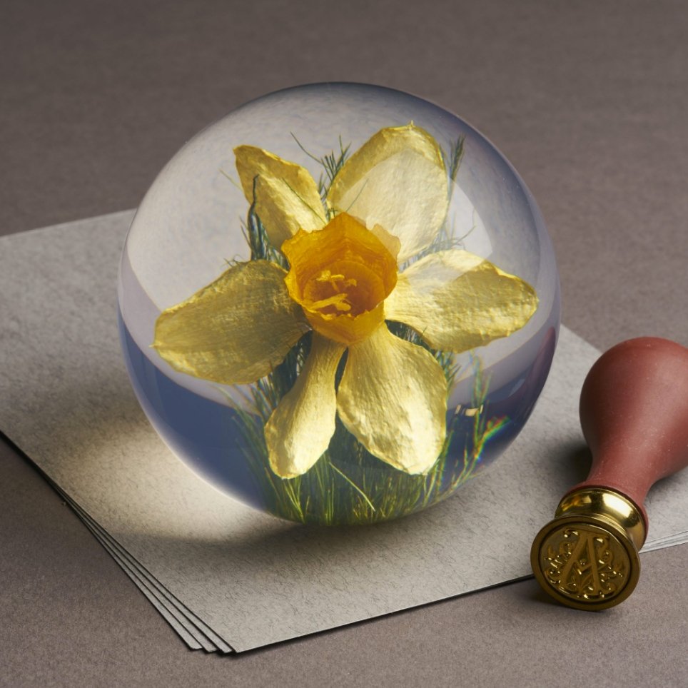 Gele narcis Presse-papier - SuperMatique