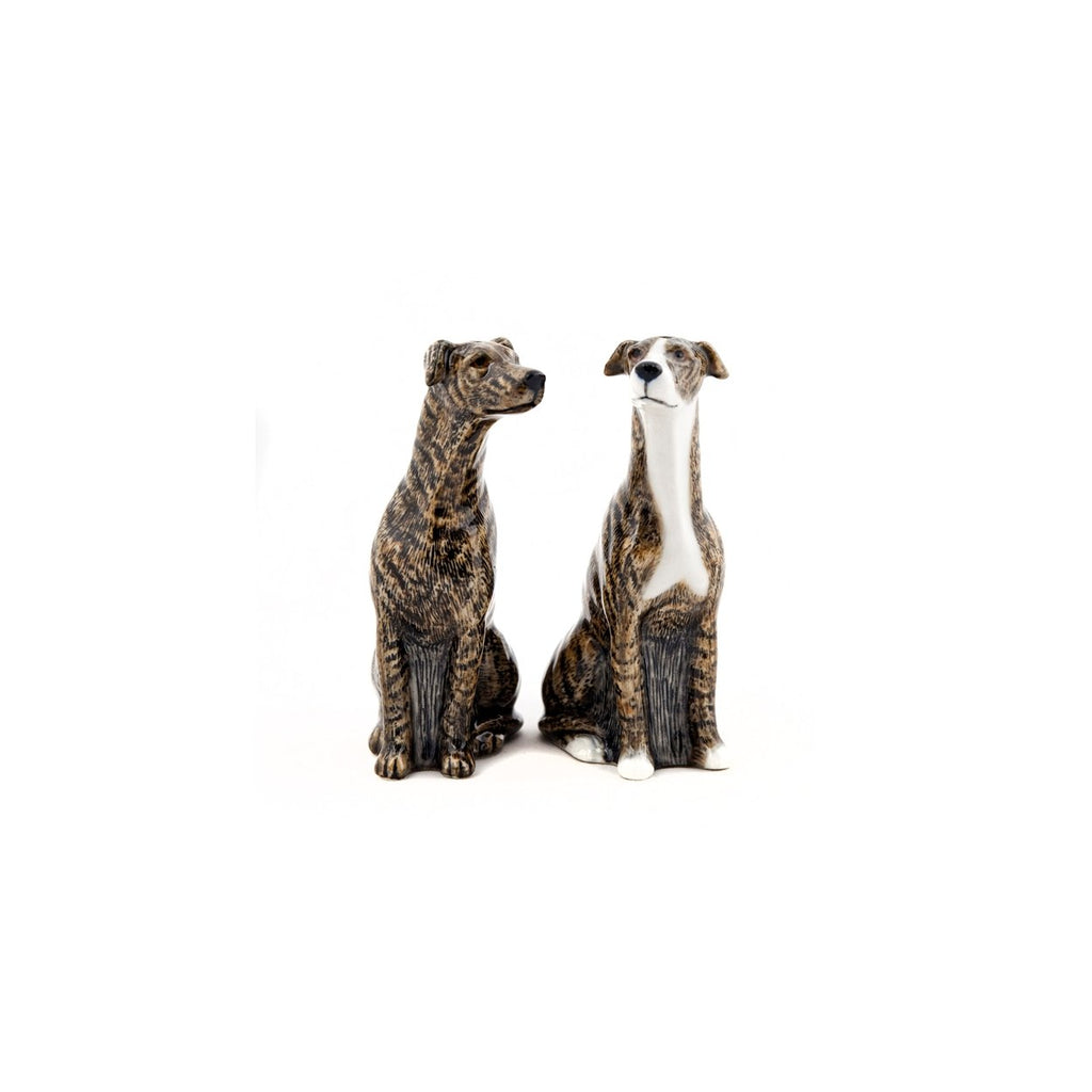 Greyhound zout en peper - SuperMatique