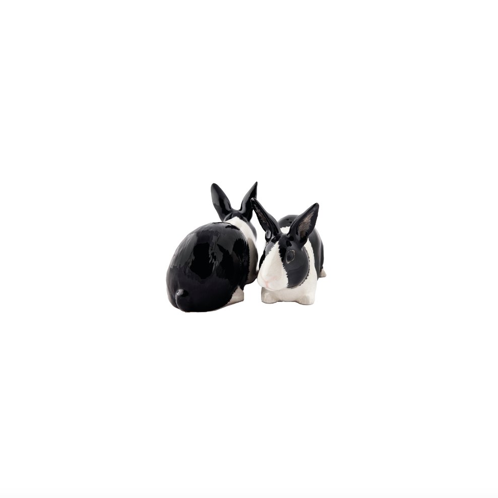 Hollands konijn zwart Peper en Zout - SuperMatique