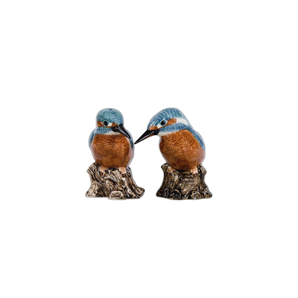 Ijsvogel Peper en Zout - SuperMatique