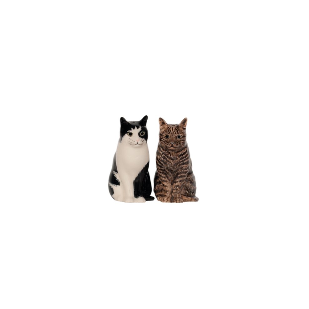 Kat Barney en Clementine Peper en Zout - SuperMatique