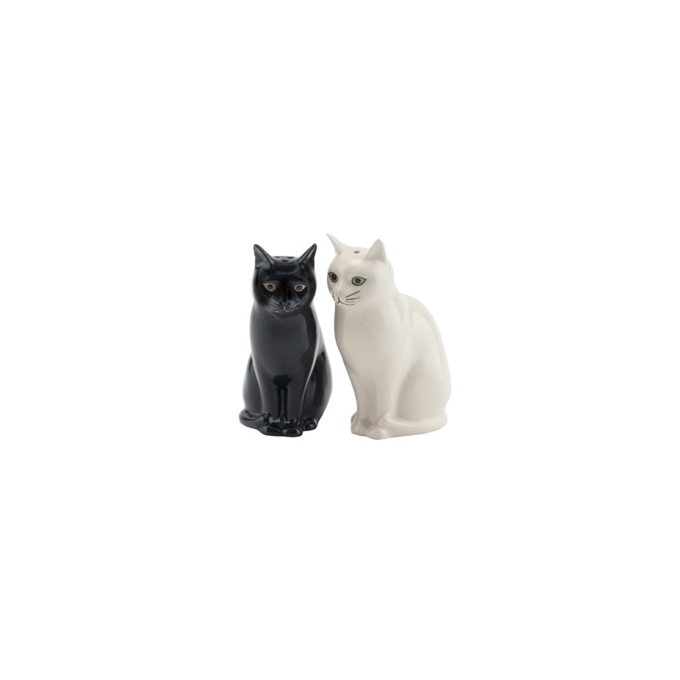 Kat Daisy en Lucky Peper en Zout stel - SuperMatique
