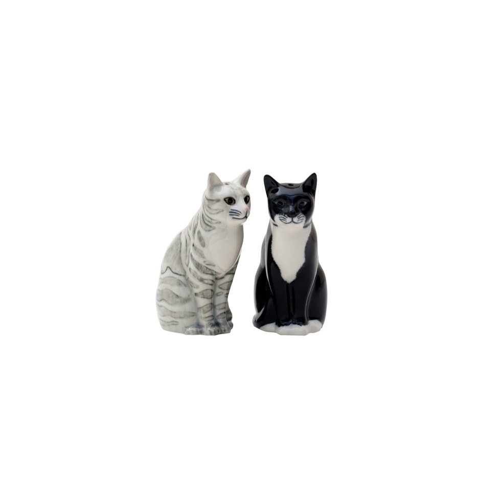 Kat Sadie en Smartie Peper en Zout - SuperMatique
