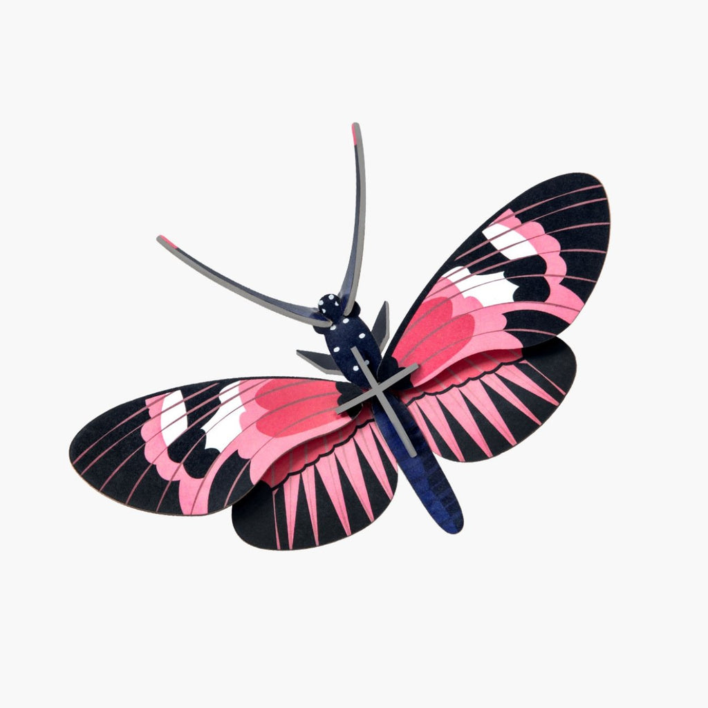 Longwing butterfly - SuperMatique