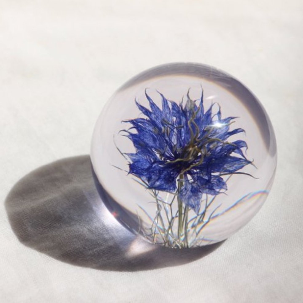 Nigella bloem Presse-papier - SuperMatique