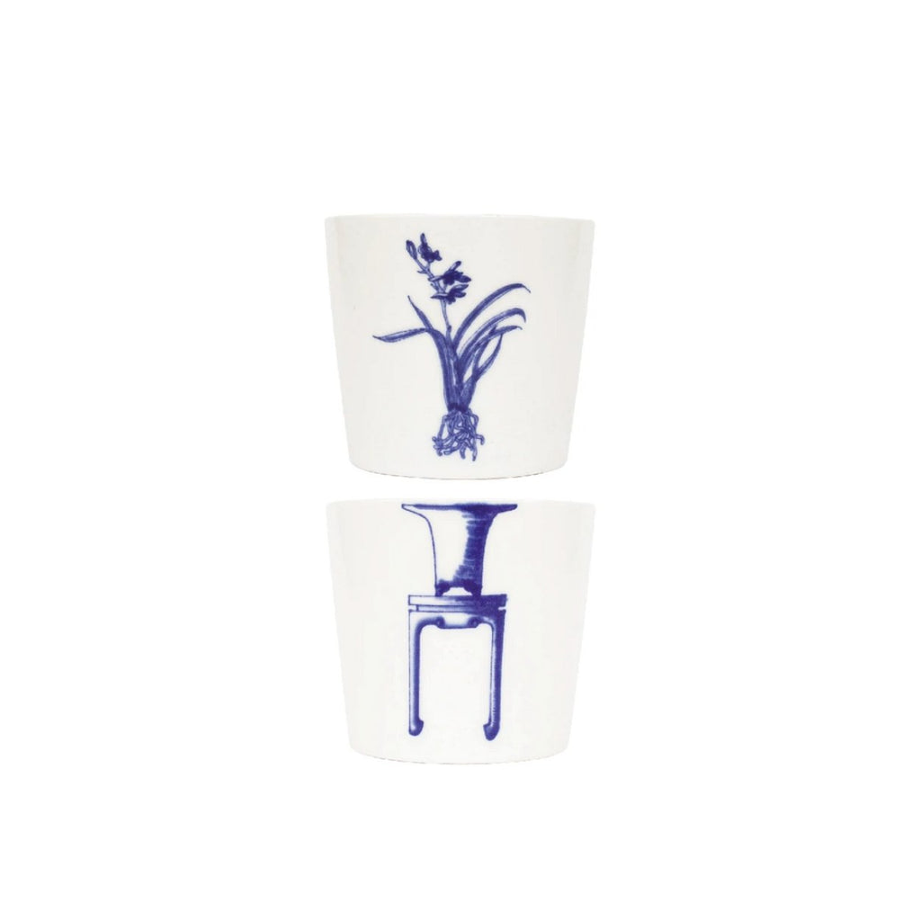 Orchid Bonsai Cups - SuperMatique