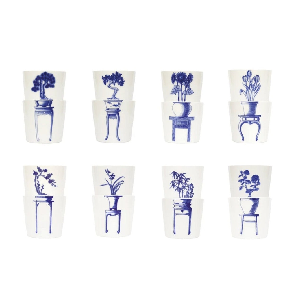Orchid Bonsai Cups - SuperMatique