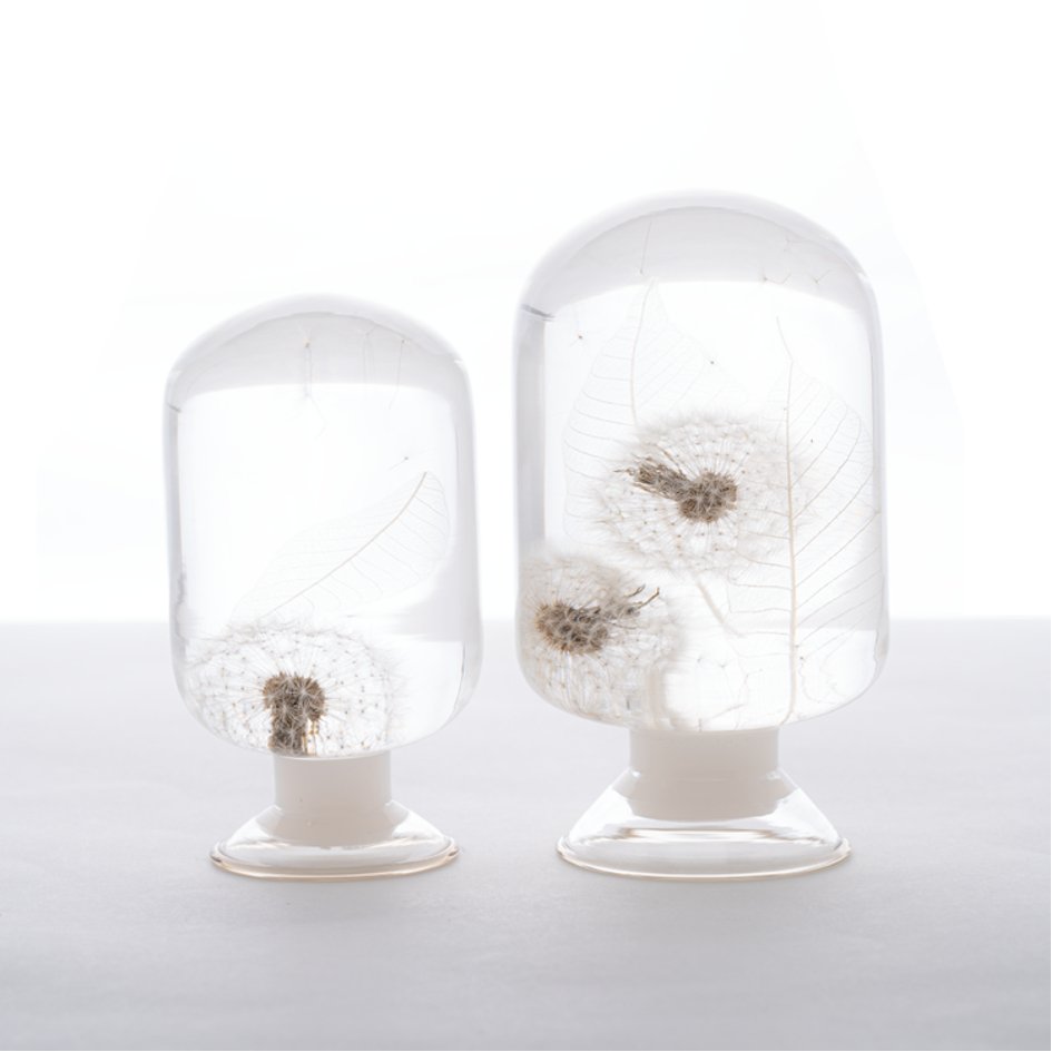 Paardenbloom Herbarium Presse-Papier - SuperMatique