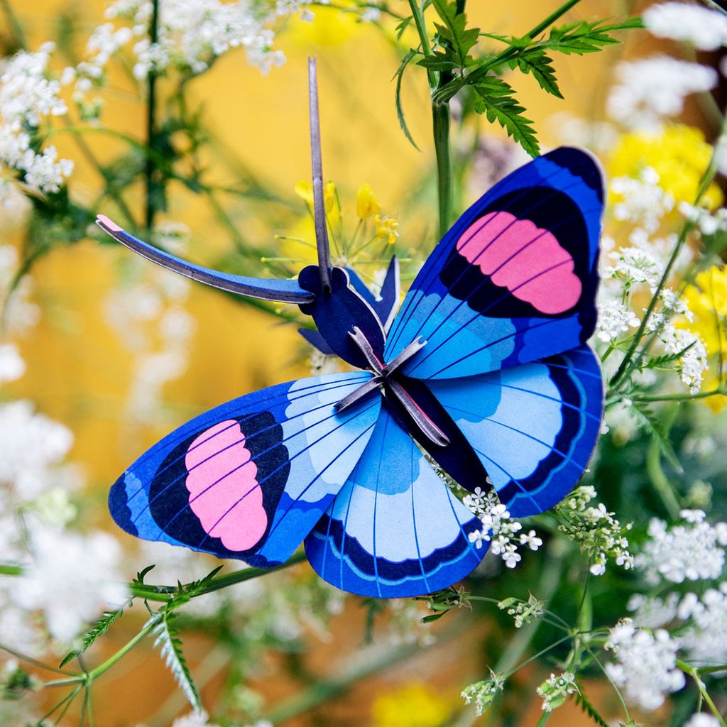 Peacock butterfly - SuperMatique