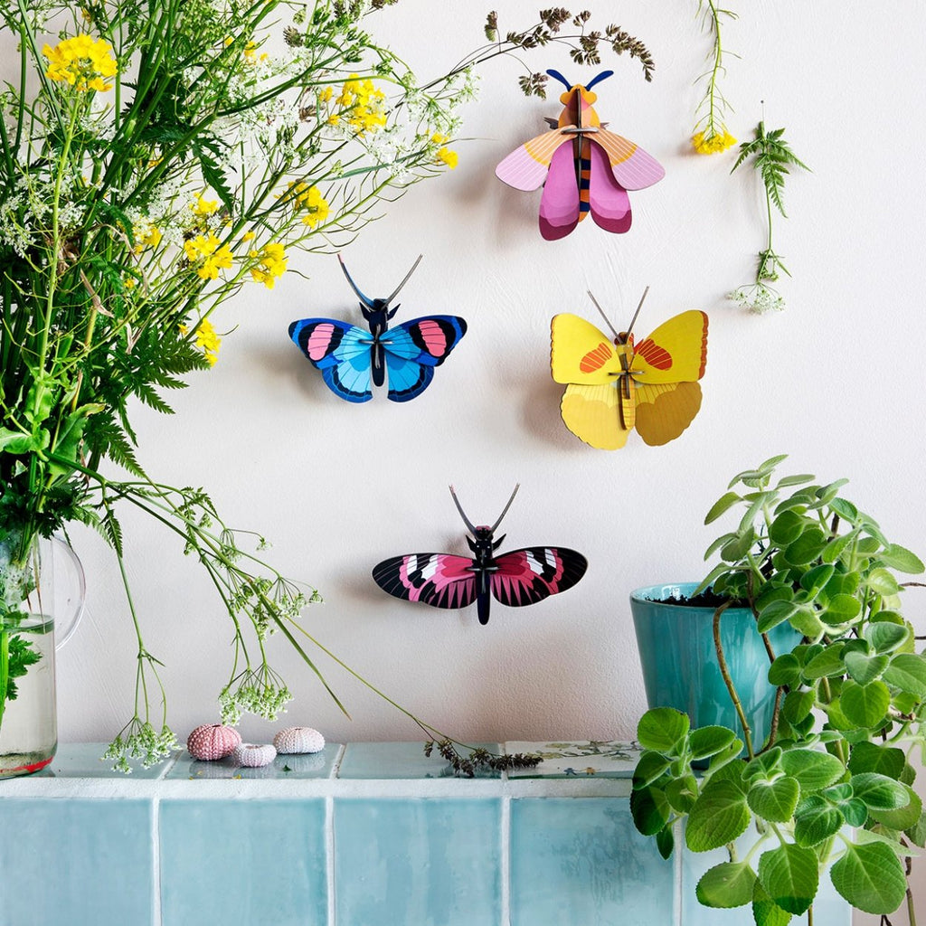 Peacock butterfly - SuperMatique