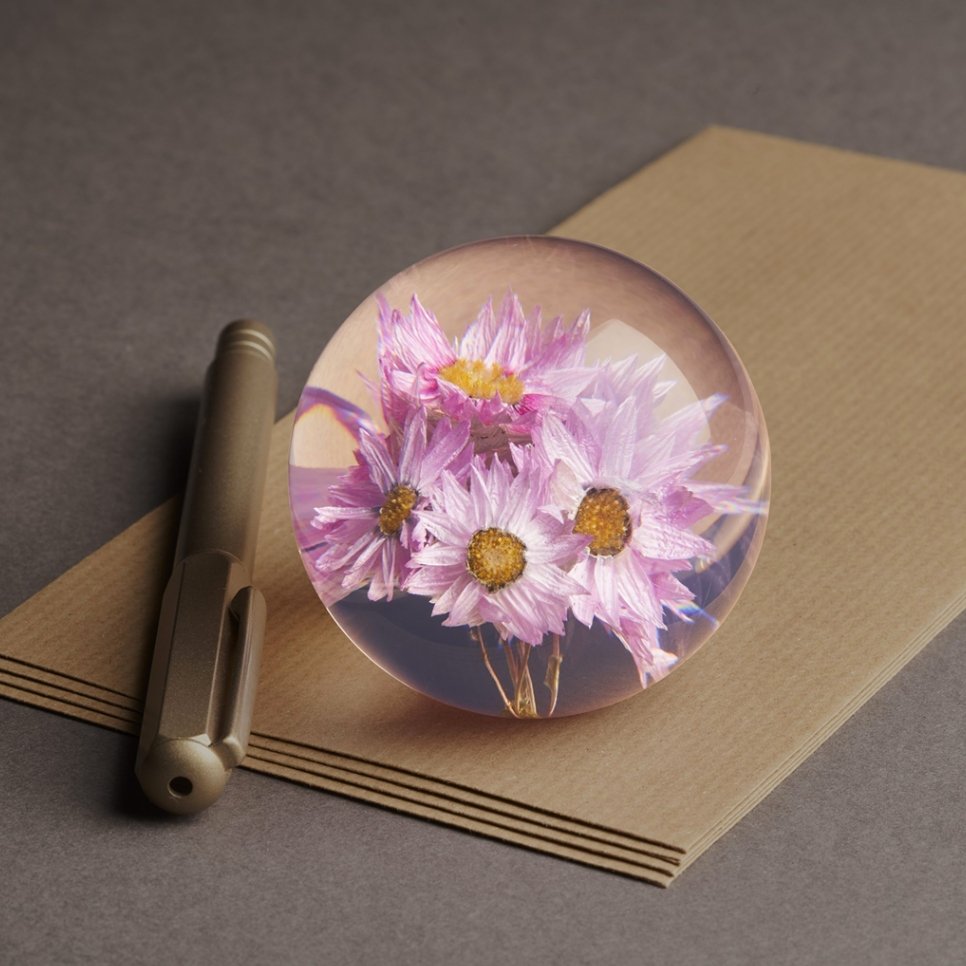Rhodanthe Presse-papier - SuperMatique
